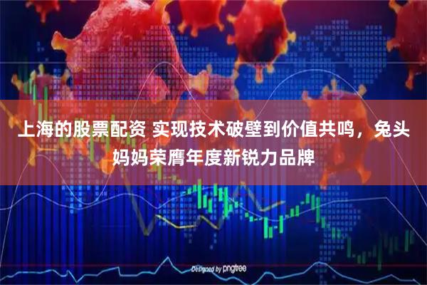 上海的股票配资 实现技术破壁到价值共鸣，兔头妈妈荣膺年度新锐力品牌